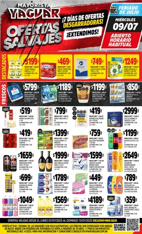 Catálogo Supermercados Yaguar en Corrientes | Nuestras mejores ofertas para ti | 2025-07-14T00:00:00.000Z - 2025-07-19T00:00:00.000Z