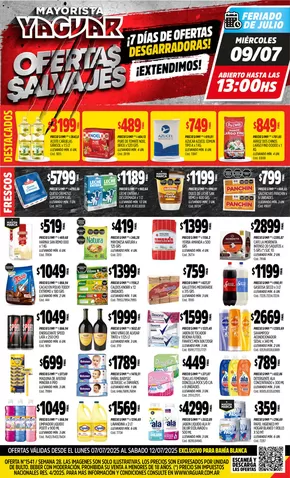 Catálogo Supermercados Yaguar en Corrientes | Ofertas principales para ahorradores | 2025-07-14T00:00:00.000Z - 2025-07-19T00:00:00.000Z