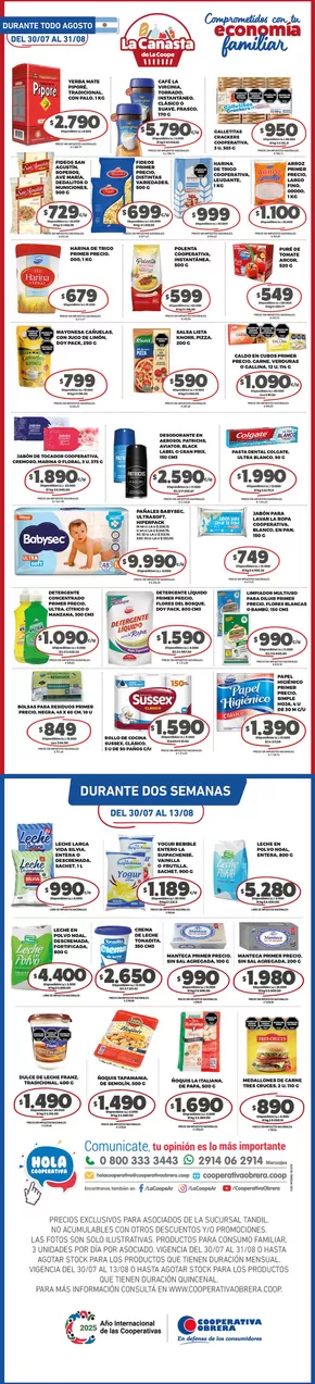 Catálogo Cooperativa Obrera en Coronel Suárez | canasta TANDIL-30072025 | 2025-07-30T00:00:00.000Z - 2025-08-31T00:00:00.000Z