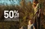 Catálogo Alpine Skate en Buenos Aires | Hasta 50% off | 2026-02-19T00:00:00.000Z - 2026-03-08T00:00:00.000Z