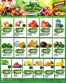 Catálogo Supermercados Mayor | Ofertas principales y descuentos | 2026-06-12T00:00:00.000Z - 2026-06-16T00:00:00.000Z