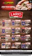 Catálogo Diarco | ESPECIAL LARIO | 2026-08-17T00:00:00.000Z - 2026-08-21T00:00:00.000Z