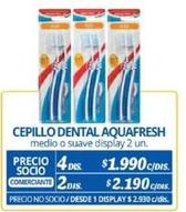 cepillos
