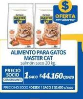paté para gatos