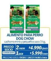 paté para perros