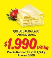 Calo - Queso Gouda Laminado Granel