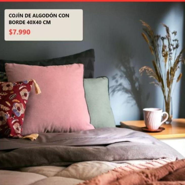 Cojín De Algodon Con Borde