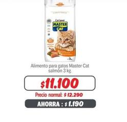 Master Cat - Alimento Para Gatos Salmón