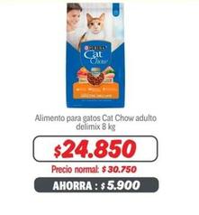 Cat -  Chow adulto delimit