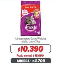 Whiskas - Alimento Para Gatos Adultoil Carne