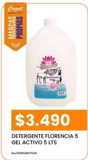 Florencia - Detergente 5 Gel Activo 5 Lts