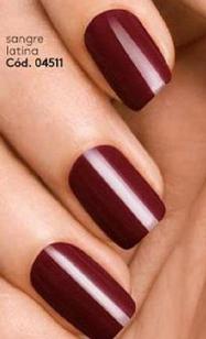 Sangre Lattina