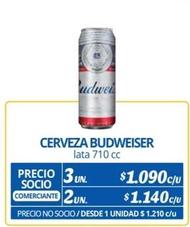 Budweiser - Cerveza