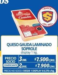Gauda - Queso Laminado