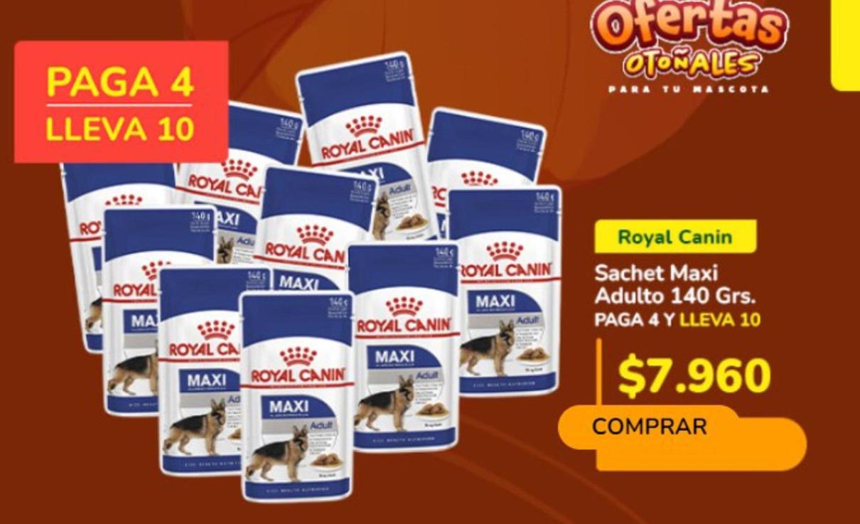 Royal Canin - Sachet Maxi Adulto