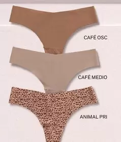 Opel - Café Medio