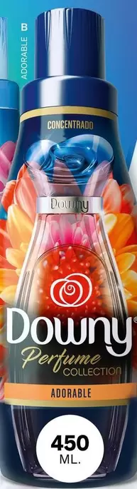 Downy - Perfume Collection