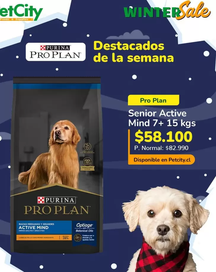 Purina - Senior Active Mind
