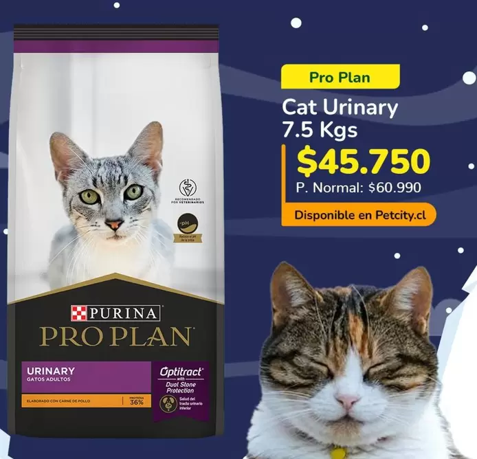 Cat -  Urinary 7.5 Kgs
