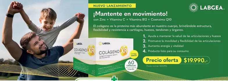 Mante En Movimiento