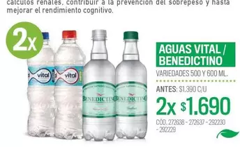 Vital - Aguas / Benedictino