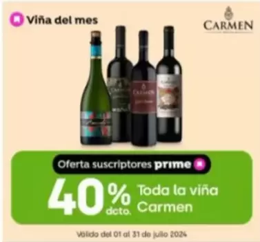 Carmen - carmen - Viña Del Mes