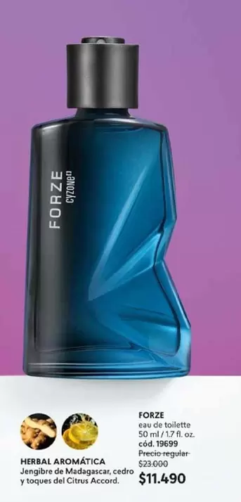 Forze - Herbal Aromatica