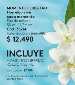 Momentos Libertad -  Hoy Elijo Vivir Cada Momento