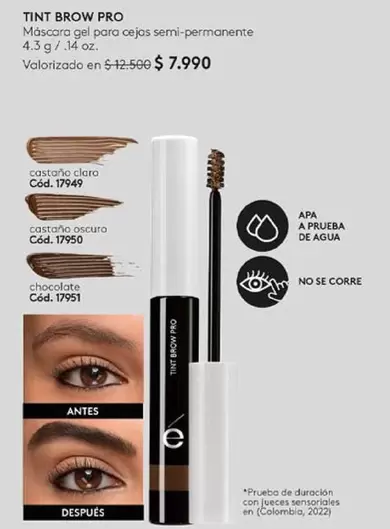 Castaño - Brow - Tint PRO