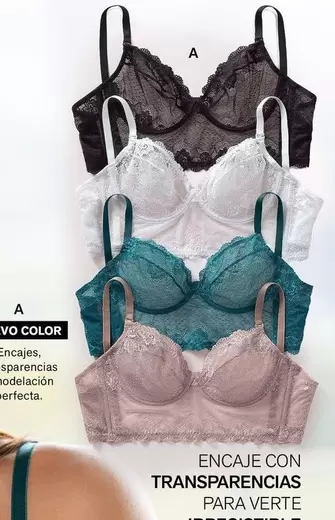 Perfecta - Encaje Con Trenapremas Para Verte