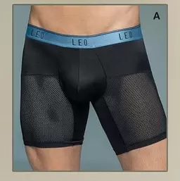 Leo Led