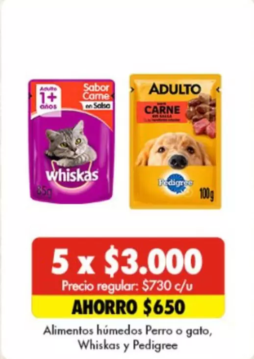 Whiskas - Alimentos Húmedos Perro O Gato,  Y Pedigree