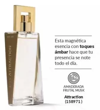 Attraction - amaderada - Frutal Musk