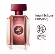 Imari -  Eclipse