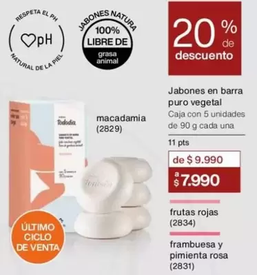 Macadamia - Jabones En Barra Puro Vegetal