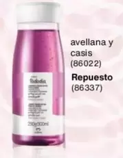 Avellana Y Casis