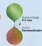 Biotecnologia Pro-Teia