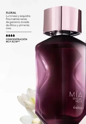 Dorada - Floral -