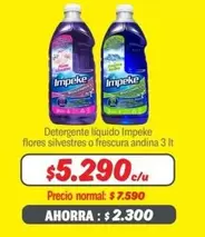 Andina - Detergente Liquido