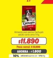 Cachupin - Alimento Para Perros  Adulto Carne Arroz