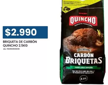 Quincho - Briqueta De Carbón