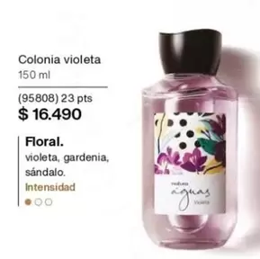 Floral - Colonia Violeta