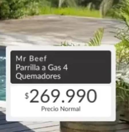 Mr. Beef - Parrilla A Gas 4 Quemadores