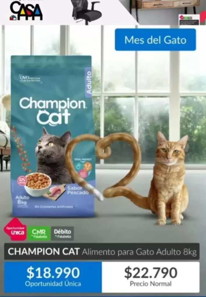 Champion Cat -  Alimento Para Gato Adulto