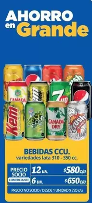 Crush - Ccu - Bebidas