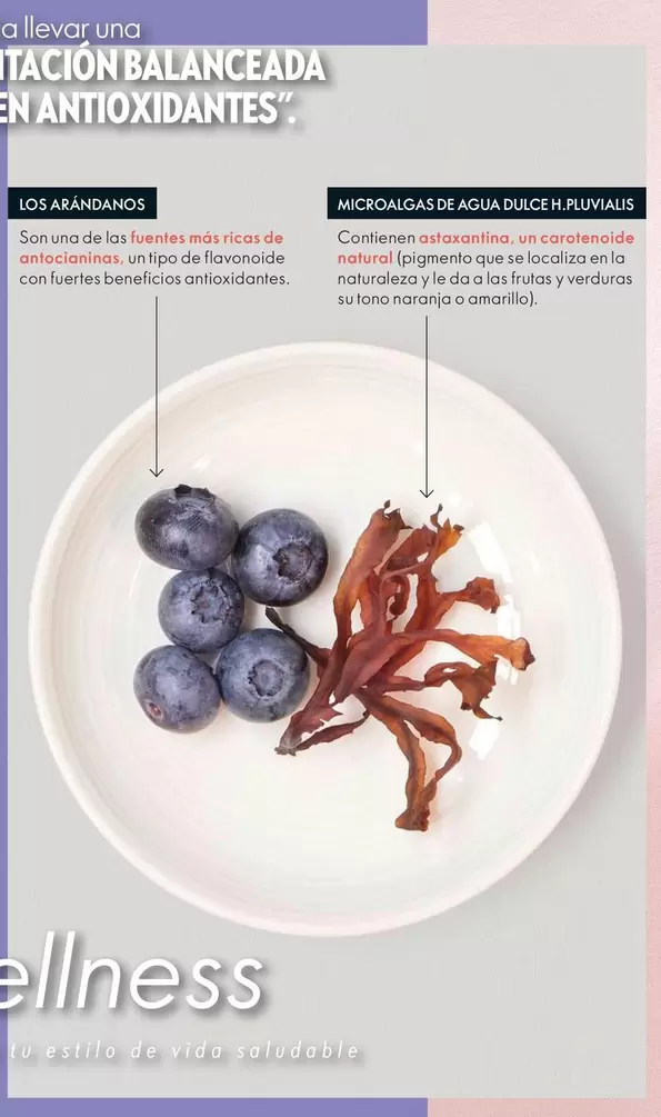 Tiction Balanceada En Antioxidantes