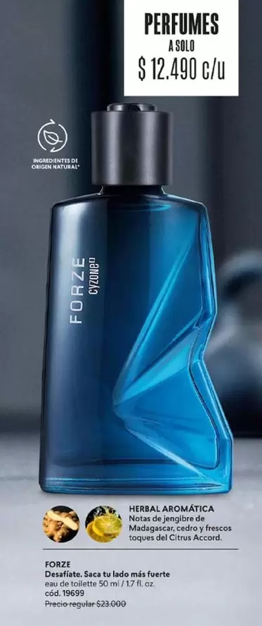 Forze - Perfumes