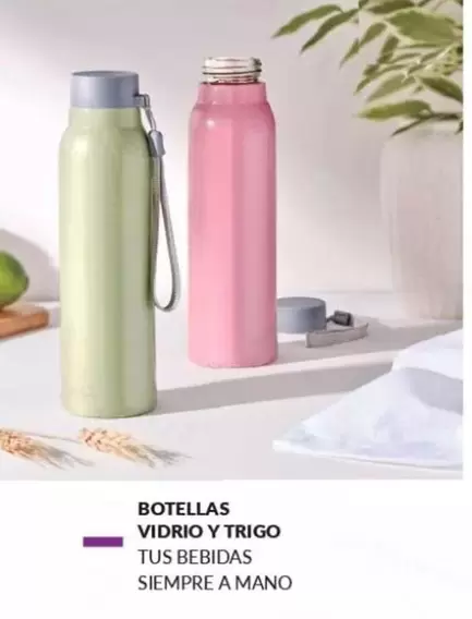 Botellas Vidrio Y Trigo