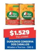 Dos Caballos - Duraznos Conserva - Conserva