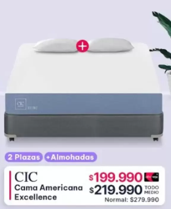Cic - CIC - Cama Americana Excellence